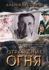 Андрей Пестряков - ОТРАЖЕНИЕ ОГНЯ