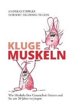 Andreas Stippler Kluge Muskeln обложка книги