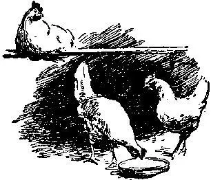 Двадцать первый барабанщик Как говорили лагерные острословы Юра возвышался - фото 29