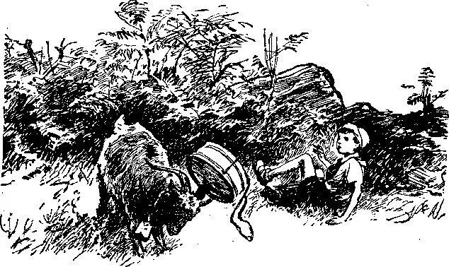 Как говорили лагерные острословы Юра возвышался над уровнем моря всего на сто - фото 30