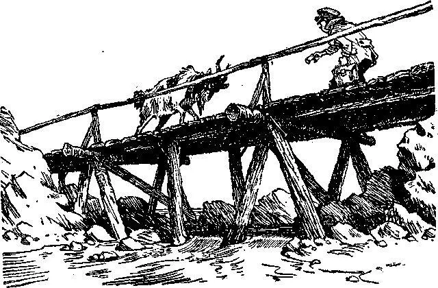 Все кто живёт далеко на севере за Полярным кругом считаются заполярниками - фото 32