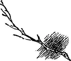 Синяя коробка Всё воскресное утро Коля провозился над своим самодельным - фото 33