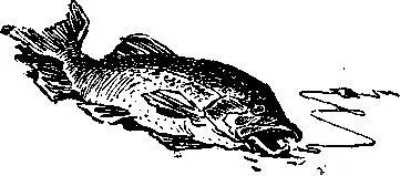 Митя и Витя едут в лагерь Витя позвонил Мите часов в пять утра К телефону - фото 45