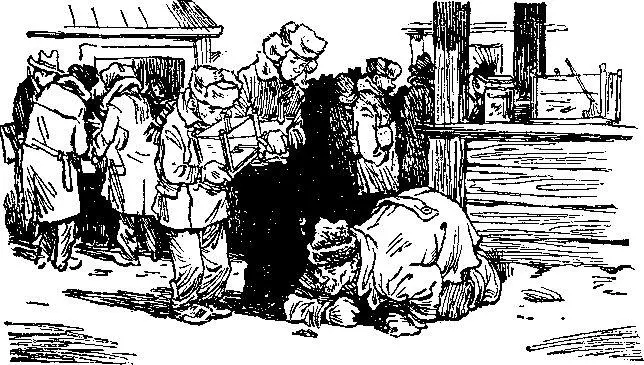 Я думаю что нам надо заводить аквариум сказал както Витя Вопервых - фото 58