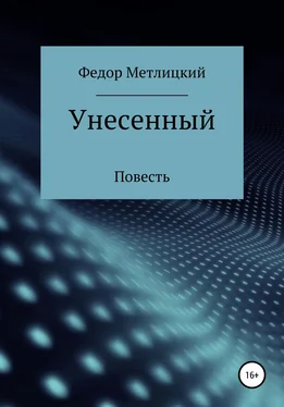 Федор Метлицкий Унесенный обложка книги