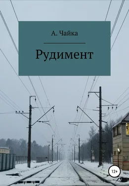 Алина Чайка Рудимент обложка книги