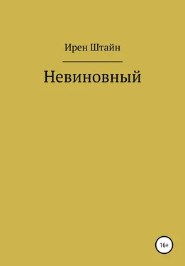 Ирен Штайн Невиновный обложка книги