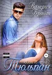 Валерия Брайт - Любовь из пепла 2. Тюльпан