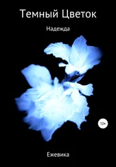 Ежевика - Темный Цветок. Надежда