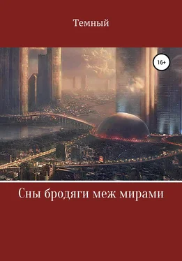 Темный Сны бродяги меж мирами обложка книги