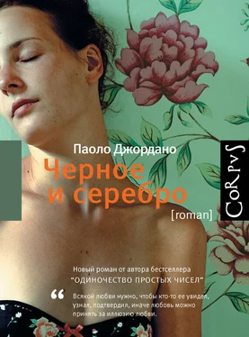 Паоло Джордано Черное и серебро обложка книги