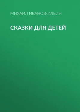 Михаил Иванов-Ильин Сказки для детей обложка книги