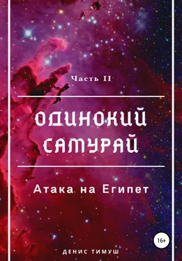 Денис Тимуш Одинокий Самурай: Атака на Египет обложка книги