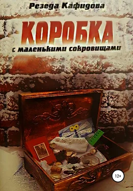 Резеда Кафидова Коробка с маленькими сокровищами обложка книги