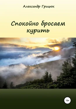 Александр Грицюк Спокойно бросаем курить обложка книги