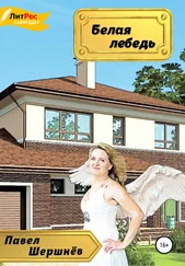 Павел Шершнёв - Белая лебедь