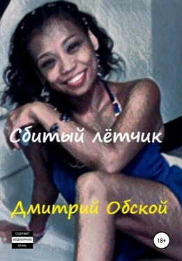Дмитрий Обской Сбитый лётчик обложка книги