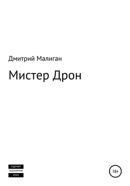 Дмитрий Малиган Мистер Дрон обложка книги