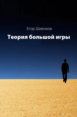 Егор Шиенков Теория Большой Игры обложка книги