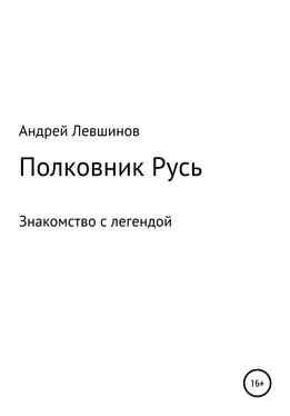 Андрей Левшинов Полковник Русь обложка книги