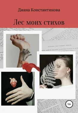 Диана Константинова Лес моих стихов обложка книги