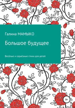 Галина Мамыко Большое будущее обложка книги