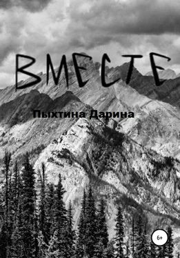 Дарина Пыхтина ВМЕСТЕ обложка книги