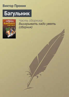 Виктор Пронин Багульник обложка книги