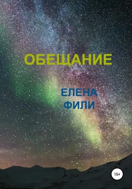 Елена Фили Обещание обложка книги