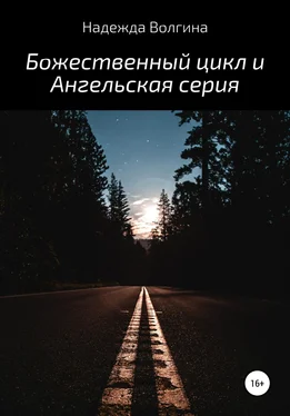 Надежда Волгина Божественный цикл и Ангельская серия обложка книги