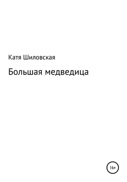 Екатерина Шиловская Большая медведица обложка книги
