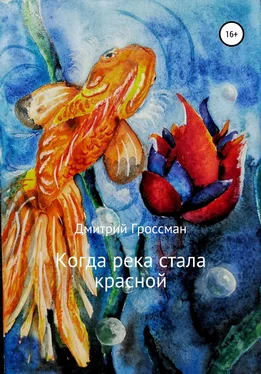 Дмитрий Гроссман Когда река стала красной обложка книги