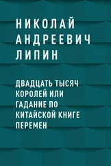 Николай Андреевич Липин - Двадцать тысяч королей или гадание по Китайской Книге Перемен