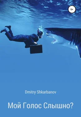 Dmitry Shkarbanov Мой голос слышно? обложка книги