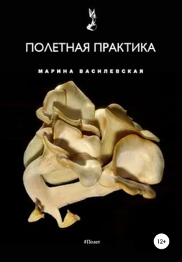 Марина Василевская Полетная практика обложка книги