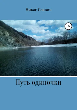 Никас Славич Путь одиночки обложка книги