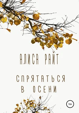 Алиса Райт Спрятаться в осени обложка книги