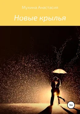 Анастасия Мухина Новые крылья обложка книги