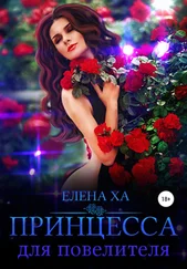 Елена Ха - Принцесса для повелителя