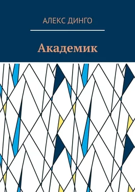 Алекс Динго Академик обложка книги