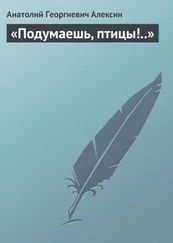 Анатолий Алексин - Подумаешь, птицы!..