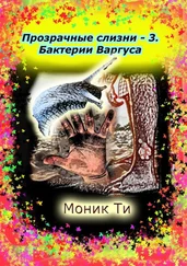 Моник Ти - Прозрачные слизни – 3. Бактерии Варгуса