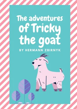 Hermann Zbirnyk The Adventures of Tricky the Goat обложка книги