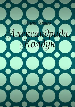 Алекс Динго Александрида. Колдун обложка книги