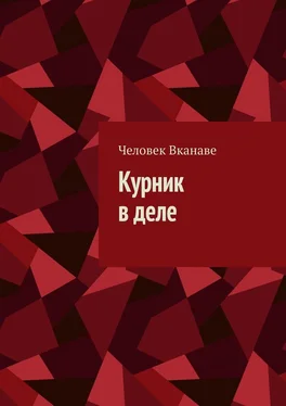 Человек Вканаве Курник в деле обложка книги