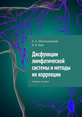 А. Могельницкий Дисфункции лимфатической системы и методы их коррекции. Учебное пособие обложка книги