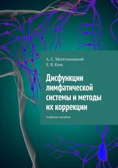 А. Могельницкий - Дисфункции лимфатической системы и методы их коррекции. Учебное пособие