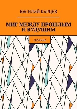 Василий Карцев МИГ МЕЖДУ ПРОШЛЫМ И БУДУЩИМ. Сборник обложка книги