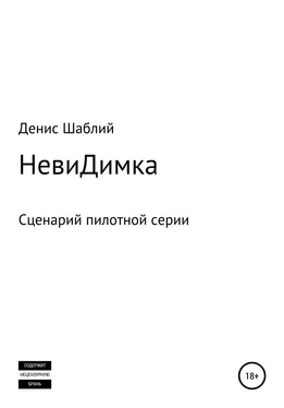 Денис Шаблий НевиДимка обложка книги