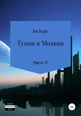 Ви Корс Туман и Молния. Книга V обложка книги